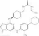 Fig. 197 - COMPOUNDS AND THERAPEUTIC USES THEREOF