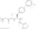 Fig. 302 - Method of treating contrast-induced nephropathy