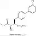 Fig. 94 - Method of treating contrast-induced nephropathy