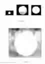 Fig. 13 - Method for the production of bioadhesive compact matrices