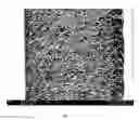 Fig. 19 - Method for the production of bioadhesive compact matrices