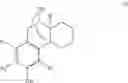 Fig. 07 - (+)-3-HYDROXYMORPHINAN DERIVATIVES AS NEUROPROTECTANTS