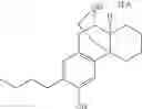 Fig. 124 - (+)-3-HYDROXYMORPHINAN DERIVATIVES AS NEUROPROTECTANTS