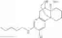 Fig. 145 - (+)-3-HYDROXYMORPHINAN DERIVATIVES AS NEUROPROTECTANTS