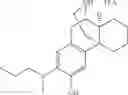 Fig. 151 - (+)-3-HYDROXYMORPHINAN DERIVATIVES AS NEUROPROTECTANTS