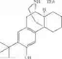 Fig. 153 - (+)-3-HYDROXYMORPHINAN DERIVATIVES AS NEUROPROTECTANTS