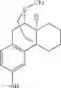 Fig. 22 - (+)-3-HYDROXYMORPHINAN DERIVATIVES AS NEUROPROTECTANTS