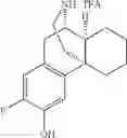 Fig. 24 - (+)-3-HYDROXYMORPHINAN DERIVATIVES AS NEUROPROTECTANTS