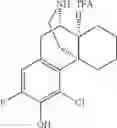 Fig. 25 - (+)-3-HYDROXYMORPHINAN DERIVATIVES AS NEUROPROTECTANTS