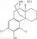 Fig. 28 - (+)-3-HYDROXYMORPHINAN DERIVATIVES AS NEUROPROTECTANTS