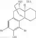 Fig. 30 - (+)-3-HYDROXYMORPHINAN DERIVATIVES AS NEUROPROTECTANTS