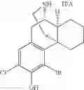 Fig. 32 - (+)-3-HYDROXYMORPHINAN DERIVATIVES AS NEUROPROTECTANTS