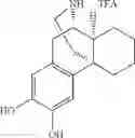 Fig. 37 - (+)-3-HYDROXYMORPHINAN DERIVATIVES AS NEUROPROTECTANTS