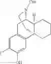Fig. 40 - (+)-3-HYDROXYMORPHINAN DERIVATIVES AS NEUROPROTECTANTS