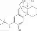 Fig. 57 - (+)-3-HYDROXYMORPHINAN DERIVATIVES AS NEUROPROTECTANTS