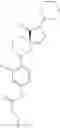 Fig. 136 - Lactam compounds and their use as pharmaceuticals