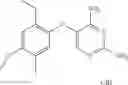 Fig. 145 - Methods of using diaminopyrimidine as P2Xand P2X⅔ receptor modulators for treatment of respiratory and gastrointestinal diseases