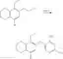 Fig. 352 - Methods of using diaminopyrimidine as P2Xand P2X⅔ receptor modulators for treatment of respiratory and gastrointestinal diseases