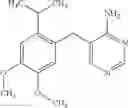 Fig. 96 - Methods of using diaminopyrimidine as P2Xand P2X⅔ receptor modulators for treatment of respiratory and gastrointestinal diseases