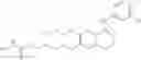 Fig. 171 - Formulation of quinazoline based EGFR inhibitors containing a zinc binding moiety