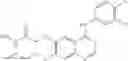 Fig. 31 - Formulation of quinazoline based EGFR inhibitors containing a zinc binding moiety