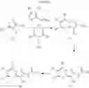 Fig. 06 - Potassium channel modulators