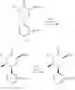 Fig. 19 - Piperidinone carboxamide azaindane CGRP receptor antagonists