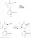 Fig. 19 - Piperidinone carboxamide azaindane CGRP receptor antagonists