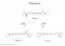 Fig. 12 - Novel C-4 Substituted Retinoids