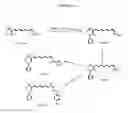 Fig. 13 - Novel C-4 Substituted Retinoids