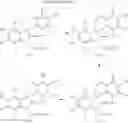 Fig. 09 - SPIRO-OXINDOLE COMPOUNDS AND THEIR USES AS THERAPEUTIC AGENTS