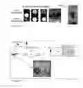 Fig. 02 - SCREENING MOLECULES WITH ANTI-PRION ACTIVITY: KITS, METHODS AND SCREENED MOLECULES