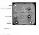 Fig. 05 - SCREENING MOLECULES WITH ANTI-PRION ACTIVITY: KITS, METHODS AND SCREENED MOLECULES