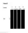 Fig. 03 - Methods and compositions for controlling ectoparasites