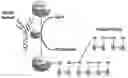 Fig. 01 - COMPOSITIONS AND METHODS FOR TREATING NECROTIZING ENTEROCOLITIS