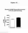 Fig. 13 - COMPOSITIONS AND METHODS FOR TREATING NECROTIZING ENTEROCOLITIS