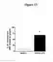 Fig. 14 - COMPOSITIONS AND METHODS FOR TREATING NECROTIZING ENTEROCOLITIS