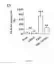Fig. 10 - Heteroannelated anthraquinone derivatives for inhibiting cancers