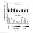 Fig. 15 - Heteroannelated anthraquinone derivatives for inhibiting cancers