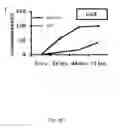 Fig. 18 - Heteroannelated anthraquinone derivatives for inhibiting cancers
