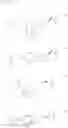 Fig. 16 - Cycloalkylamne derivatives