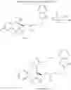 Fig. 32 - Tetrahydronaphthalene derivatives
