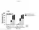 Fig. 11 - Spiro-oxindole MDM2 antagonists