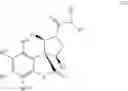 Fig. 110 - Spiro-oxindole MDM2 antagonists