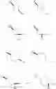 Fig. 124 - Spiro-oxindole MDM2 antagonists