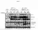 Fig. 16 - Spiro-oxindole MDM2 antagonists