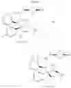Fig. 216 - Spiro-oxindole MDM2 antagonists