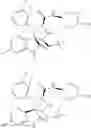 Fig. 221 - Spiro-oxindole MDM2 antagonists