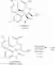 Fig. 232 - Spiro-oxindole MDM2 antagonists