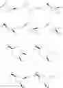 Fig. 48 - Spiro-oxindole MDM2 antagonists